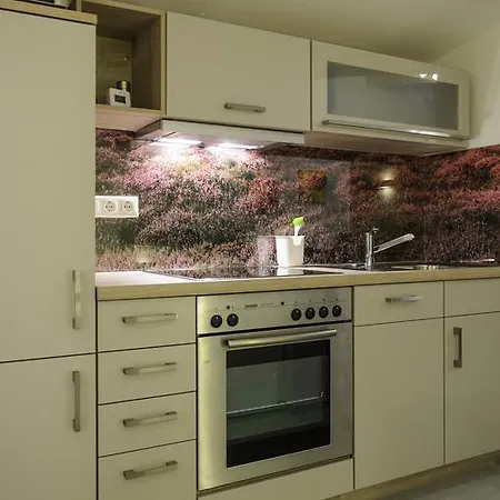 Ferienwohnung Radebeul Gerlach Zimmer foto