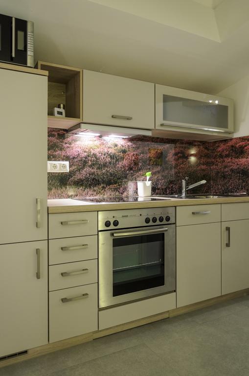 Apartment Gerlach Radebeul